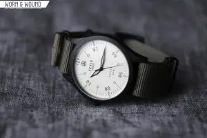 Aevig Corvid