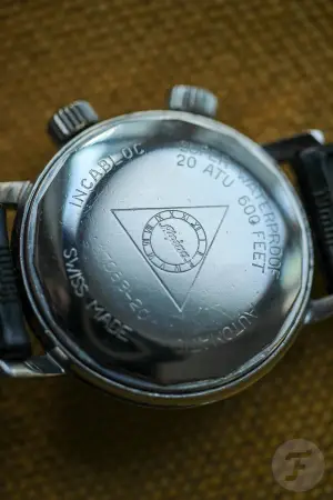 Alpina Seastrong 10