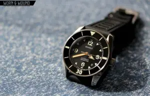 Benarus Sea Snake