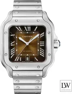 Cartier Cartier Santos de Cartier WSSA0064 42mm Stainless steel Brown