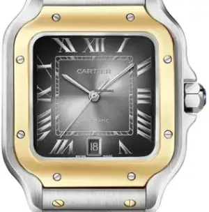Cartier Cartier Santos Dumont W2SA0030 40mm Stainless steel Gray