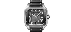 Cartier Santos de Cartier ADLC