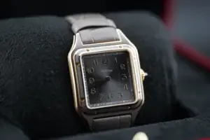 Cartier Cartier Santos Dumont WGSA0097 Yellow gold Gray