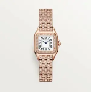 Cartier Cartier Panthère WJPN0061 22mm Rose gold Silver