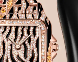 Cartier Panthère de Cartier