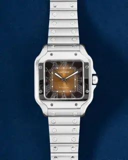 Cartier Cartier Santos de Cartier WSSA0065 35mm Stainless steel Brown