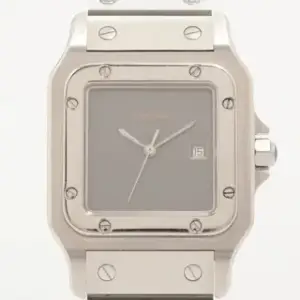 Cartier Cartier Santos 81036183 29mm Stainless steel Gray