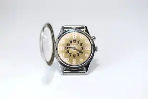 Citizen Shine