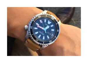 Citizen Promaster NY0080-12E