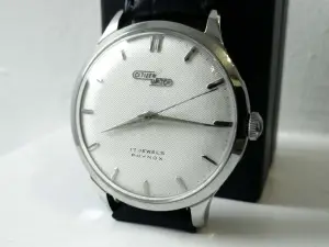 Citizen Phynox 150301