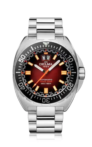 Delma Shell Star Big Date