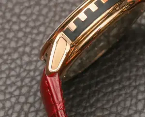 DeWitt Academia Out Of Time