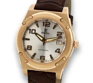 Festina Unknown Model