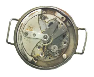 Fortis Harwood Automatic