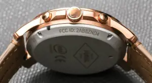 Fossil Q Grant