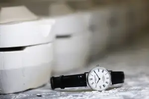 Frédérique Constant Classics Art Of Porcelain