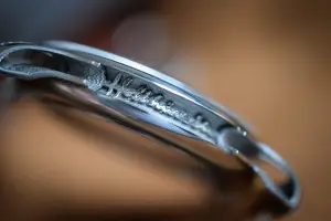 Holthinrichs Ornament 1