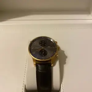 IWC IWC Portugieser IW371610 Yellow gold Gray