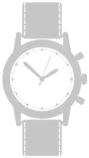 Longines Longines Conquest L3.430.4.62.6 34mm Stainless steel Brown