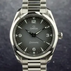 Omega Omega Railmaster 235.10.38.20.06.001 38mm Stainless steel Gray