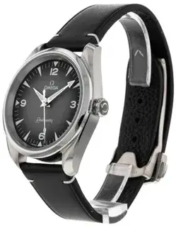 Omega Omega Railmaster 235.12.38.20.06.001 38mm Stainless steel Gray