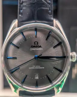 Omega Omega Seamaster 511.13.40.20.06.003 42mm Stainless steel Gray