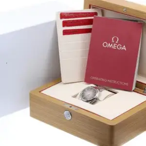 Omega Omega Railmaster 235.10.38.20.13.001 40mm Stainless steel Brown