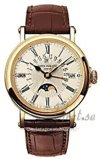 Patek Philippe Patek Philippe Perpetual Calendar 5159J-001 38mm Yellow gold Silver