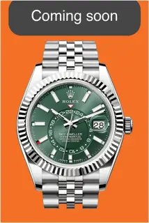 Rolex Rolex Sky-Dweller 336934-0002 Stainless steel Green