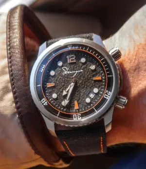 Stranger Ocean Predator Diver