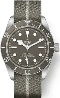 Tudor Tudor Black Bay M79010SG-0002 39mm Silver Gray