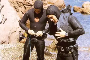 Tudor Milsub