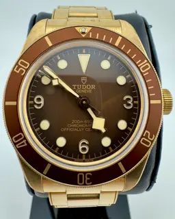 Tudor Tudor Black Bay 79012M 39mm Bronze Brown