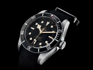 Tudor Black Bay Black
