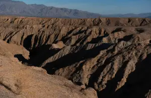 Vero Workhorse Canyon